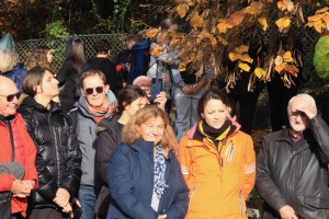  13-  marche des Libérateurs 