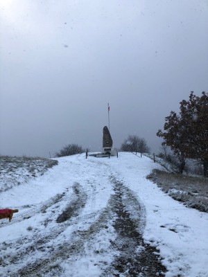  31- Col du Hundsrück 