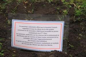  7f-plantation du pommier de soeur Louise.JPG 