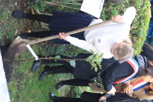  7d-plantation du pommier de soeur Louise.JPG 