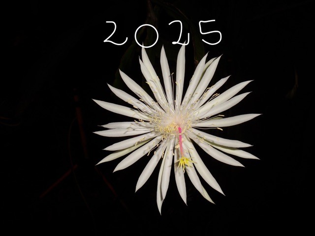VOEUX 2025