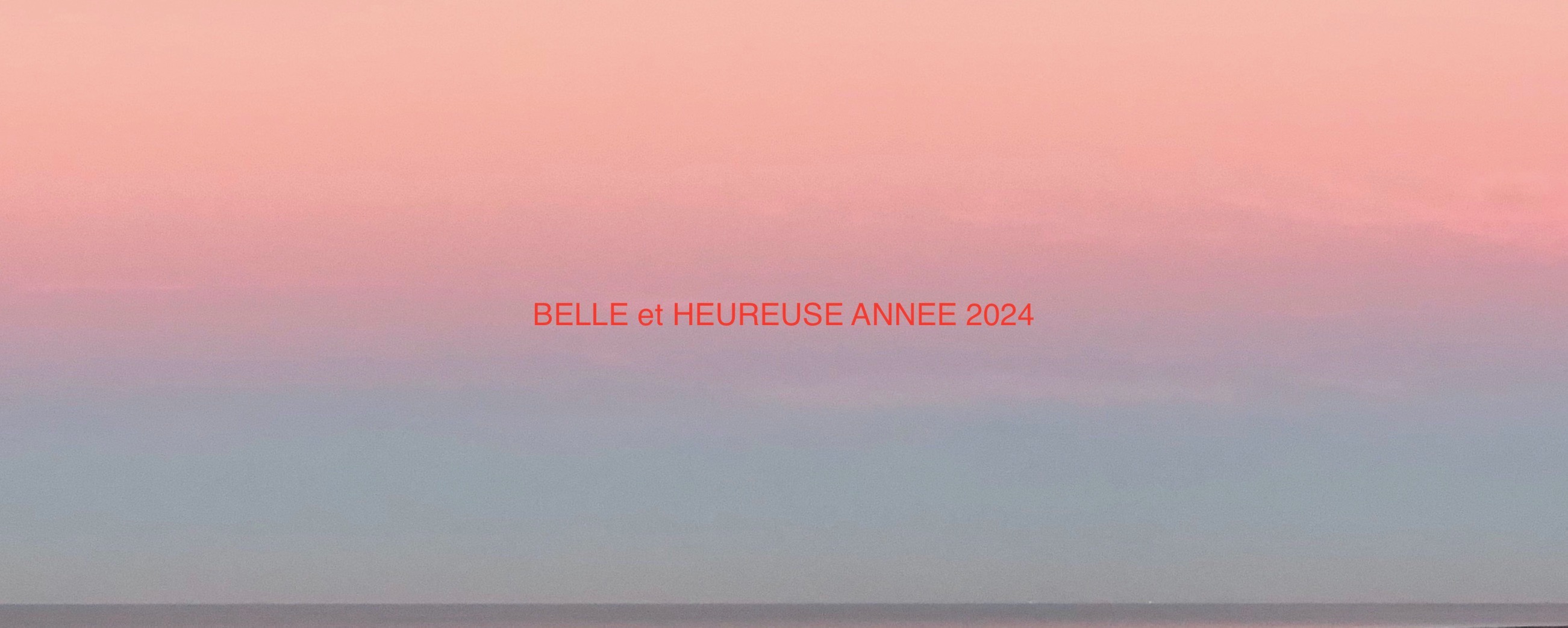 VOEUX 2024